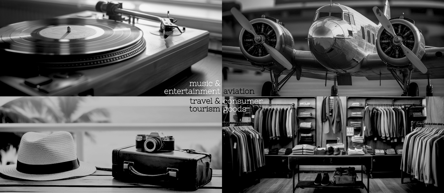 radnieves agencies - diversified project management